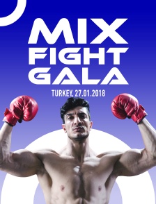Mix Fight Gala, Turkey, 27.01.2018
