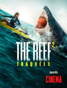 Molotov Channels Cinéma - The Reef 2 : Traquées