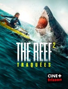 The Reef 2 : Traquées