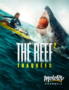 Molotov channels - The Reef 2 : Traquées