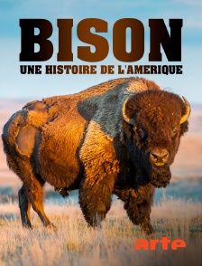 Bison : une histoire de l'Amérique