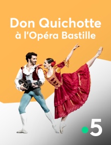France 5 - Don Quichotte à l'Opéra Bastille