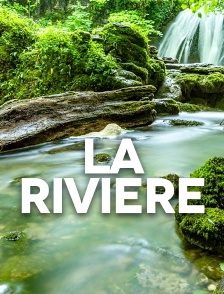 La rivière
