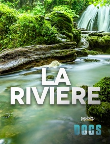 La rivière