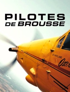 Pilotes de brousse