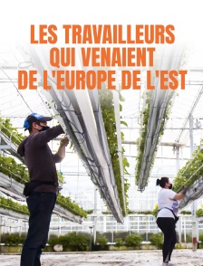 Les travailleurs qui venaient de l'Europe de l'Est