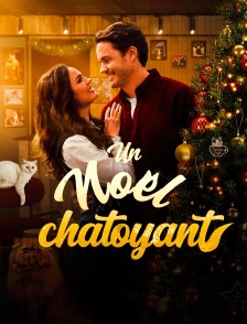 Un Noël chatoyant !