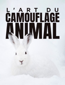 L'art du camouflage animal