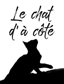 Le chat d'à côté