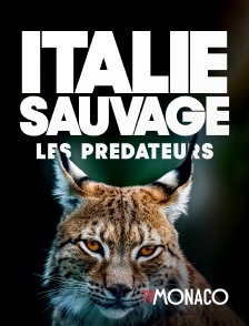 TV Monaco - Italie sauvage : les prédateurs