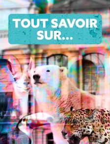 Tout savoir sur...