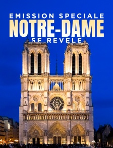 Emission spéciale : Notre-Dame se révèle