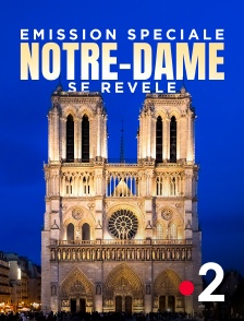 France 2 - Emission spéciale : Notre-Dame se révèle