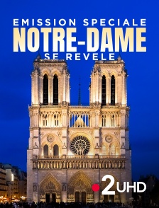 France 2 UHD - Emission spéciale : Notre-Dame se révèle