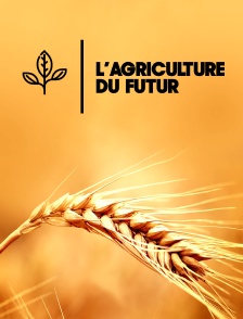 L'agriculture du futur