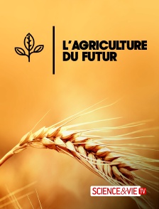 L'agriculture du futur