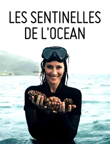 Les sentinelles de l'océan