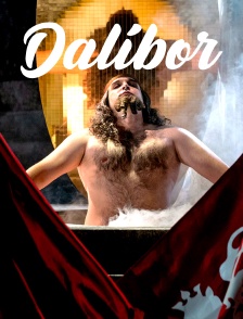 Dalibor