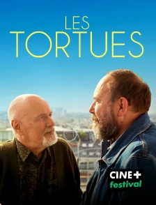 CINE+ Festival - Les Tortues
