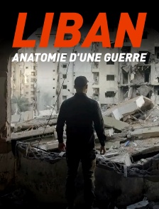 Liban : anatomie d'une guerre