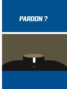 Pardon ?