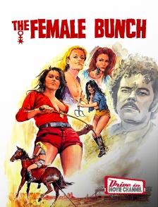 Drive-in Movie Channel - The Female Bunch