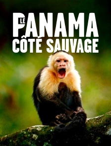 Le panama, côté sauvage