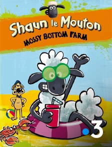 France 3 - Shaun le mouton : Mossy Bottom Farm