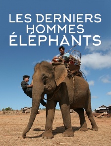 Les derniers hommes éléphants