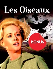 Les oiseaux : le bonus