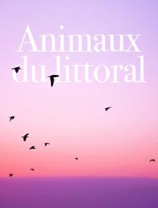 Animaux du littoral