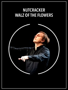 Nutcracker | Walz of the flowers