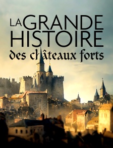 La grande histoire des châteaux forts