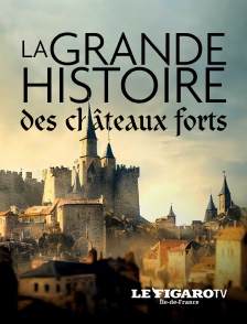La grande histoire des châteaux forts