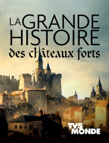 TV5MONDE - La grande histoire des châteaux forts