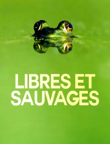 Libres et sauvages