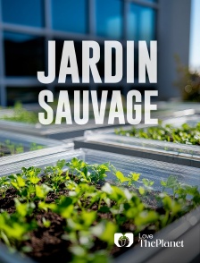 Love the Planet - Jardin sauvage