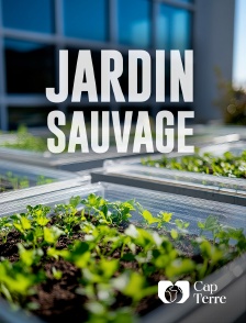 Cap Terre - Jardin sauvage