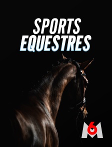 M6 - Courses hippiques : Prix de Cornullier