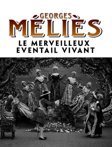 Le merveilleux éventail vivant