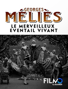 FilmoTV - Le merveilleux éventail vivant