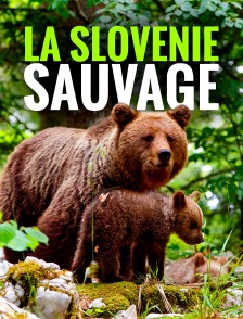 La Slovénie sauvage