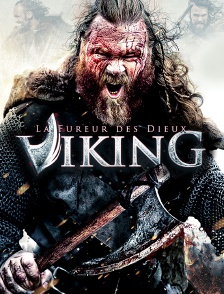 VIKING : LA FUREUR DES DIEUX