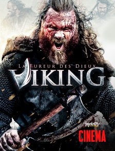 Viking : la fureur des dieux