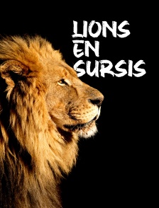 Lions en sursis