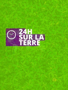 24 heures sur la terre