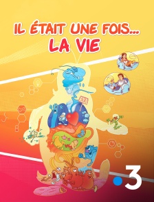 France 3 - Il était une fois... la vie