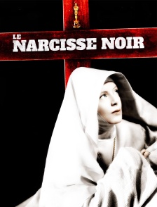 Le narcisse noir