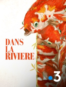 France 3 - Dans la rivière