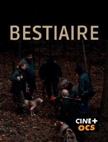 CINÉ Cinéma - Bestiaire